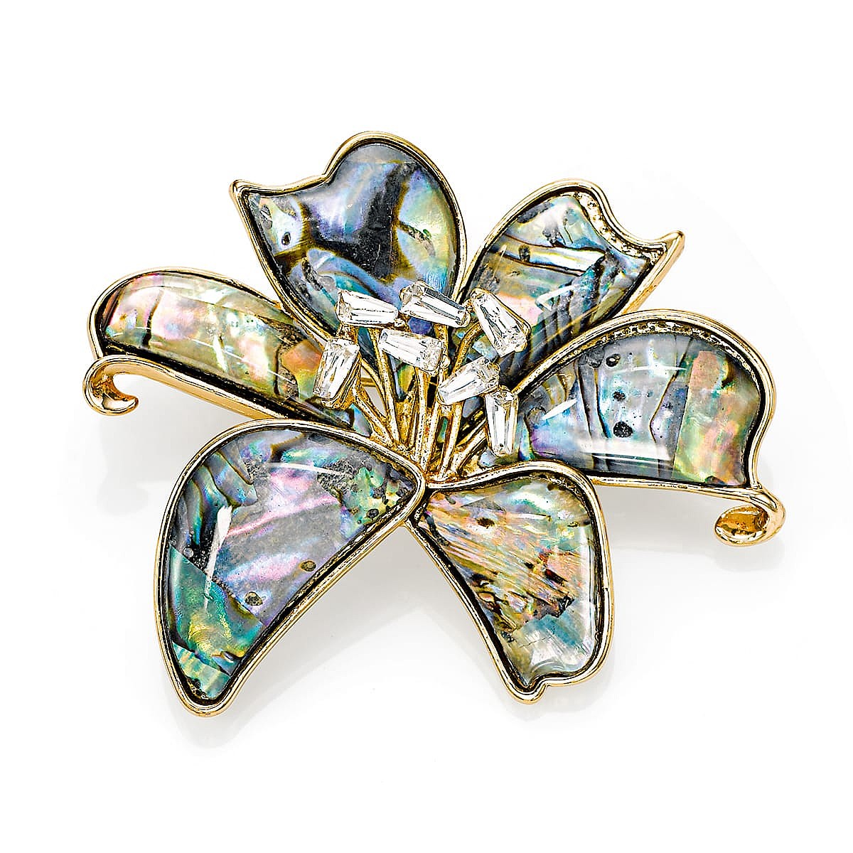 Iridescent Isles Abalone Brooch