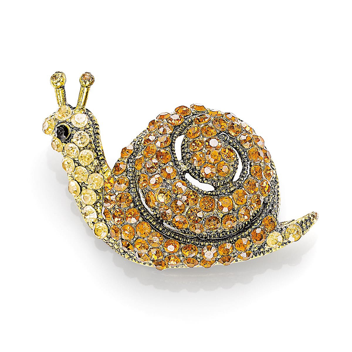 Slow The Pace Snail Brooch