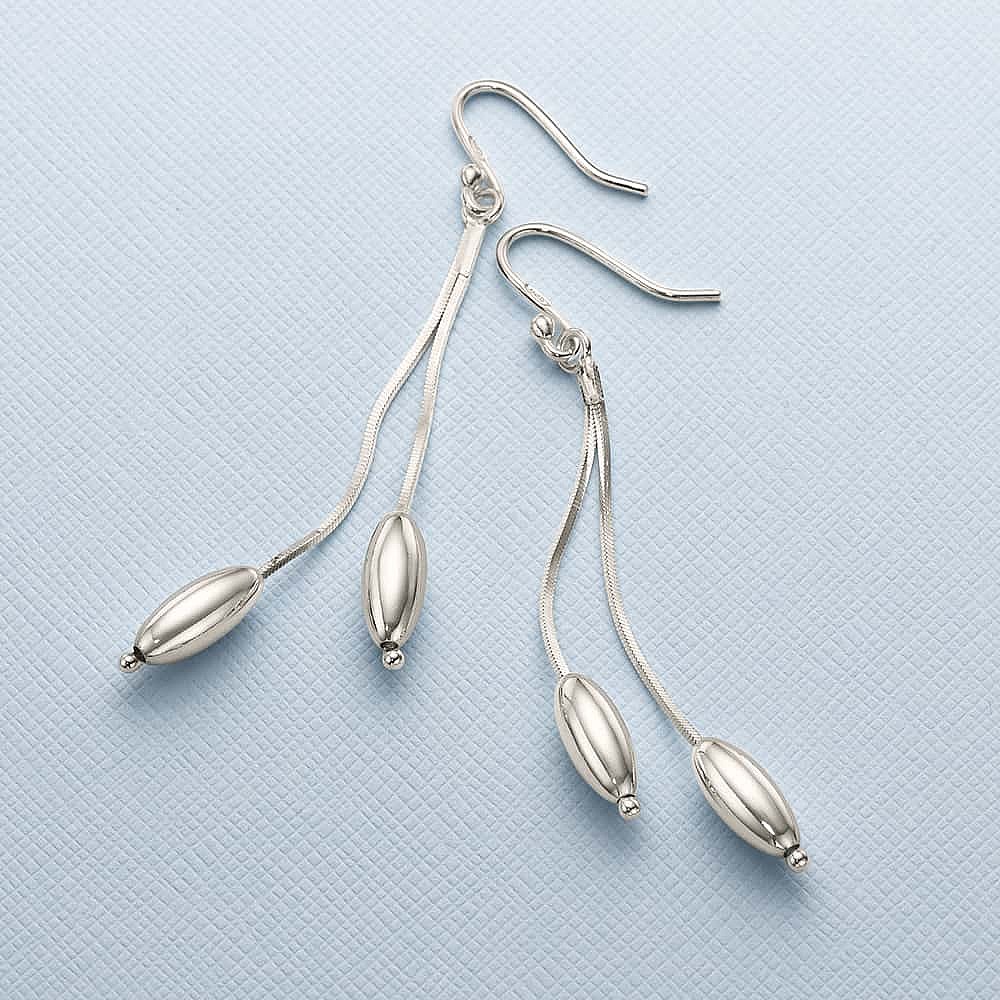 Dynamic Duo Silver Earrings