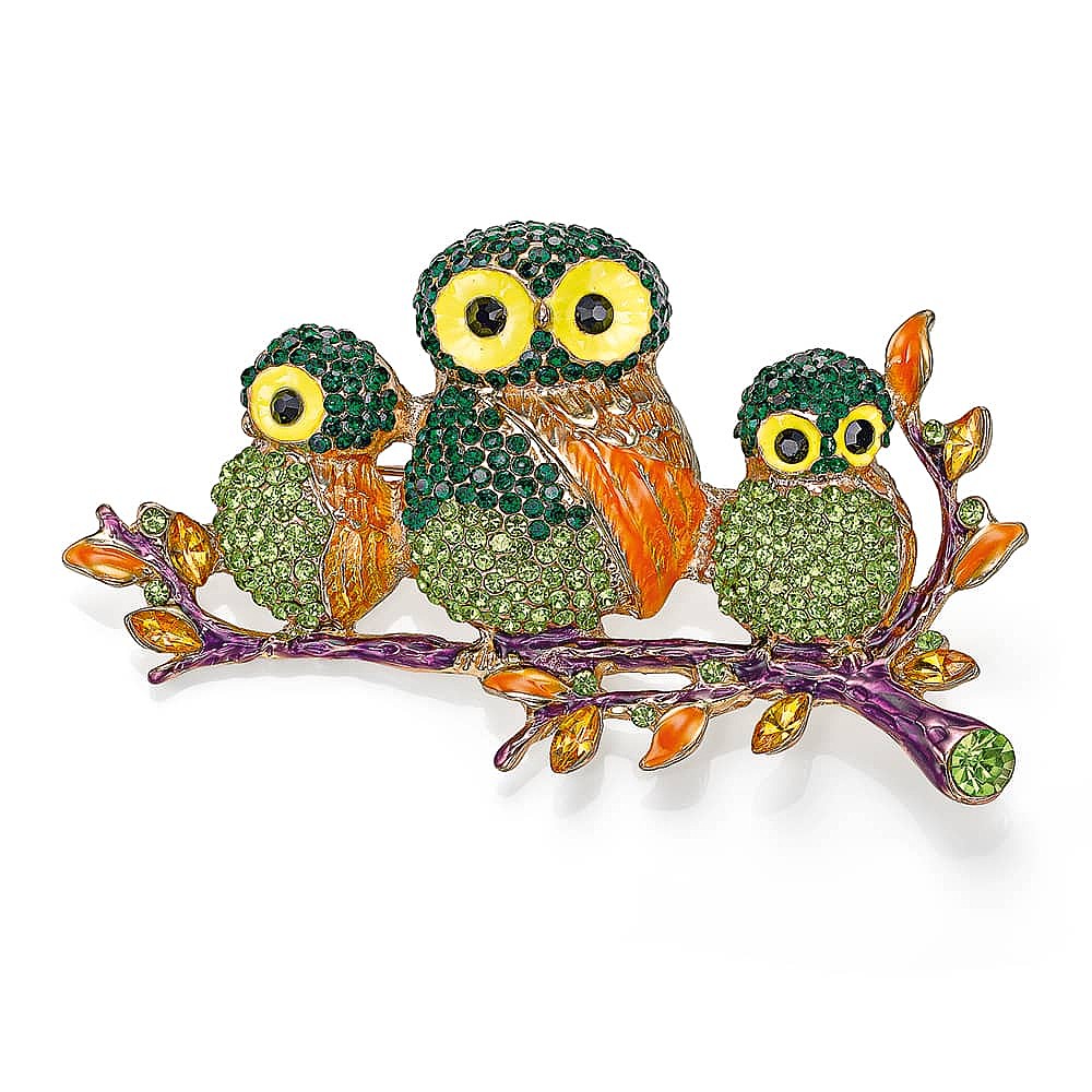 Clever Companions Owl Brooch