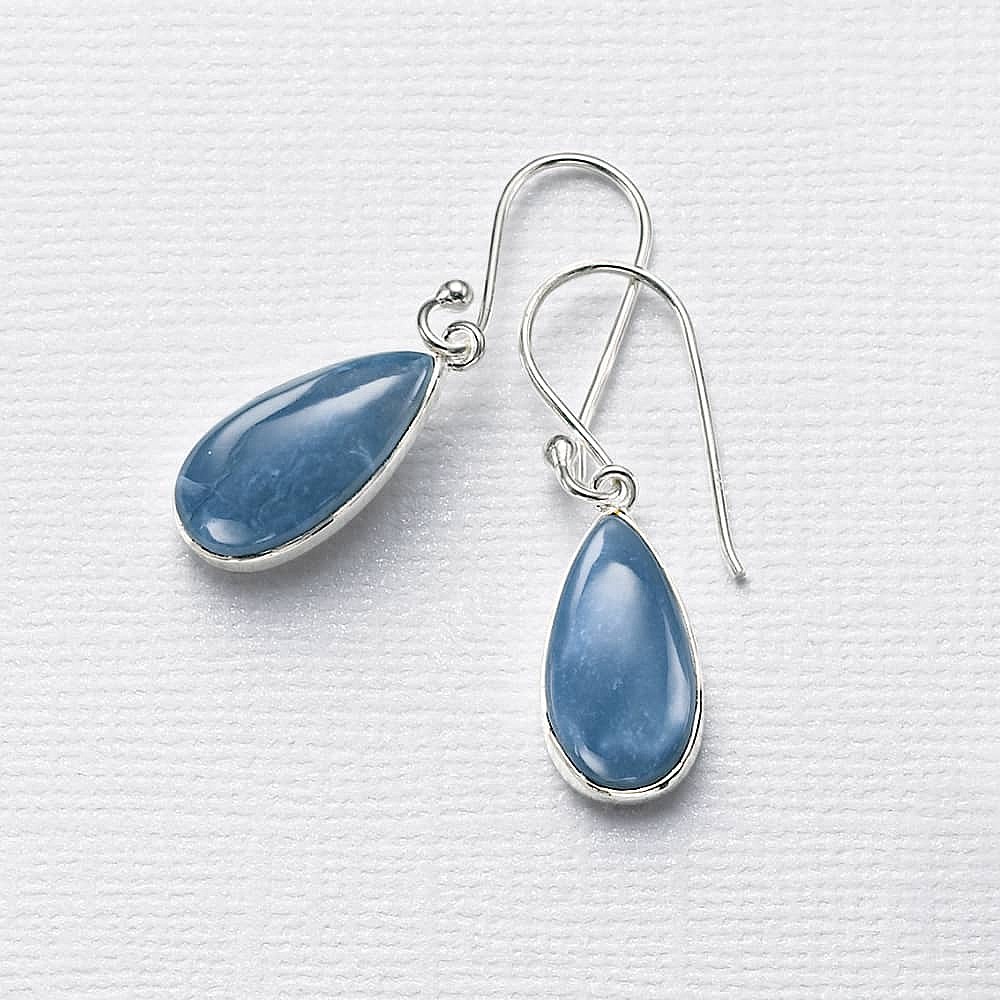 Daydream In Denim Earrings