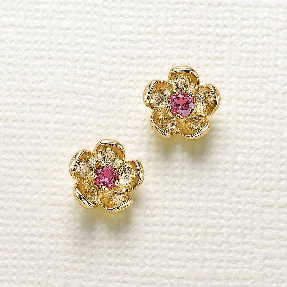 Gifted With Garnet Stud Earrings