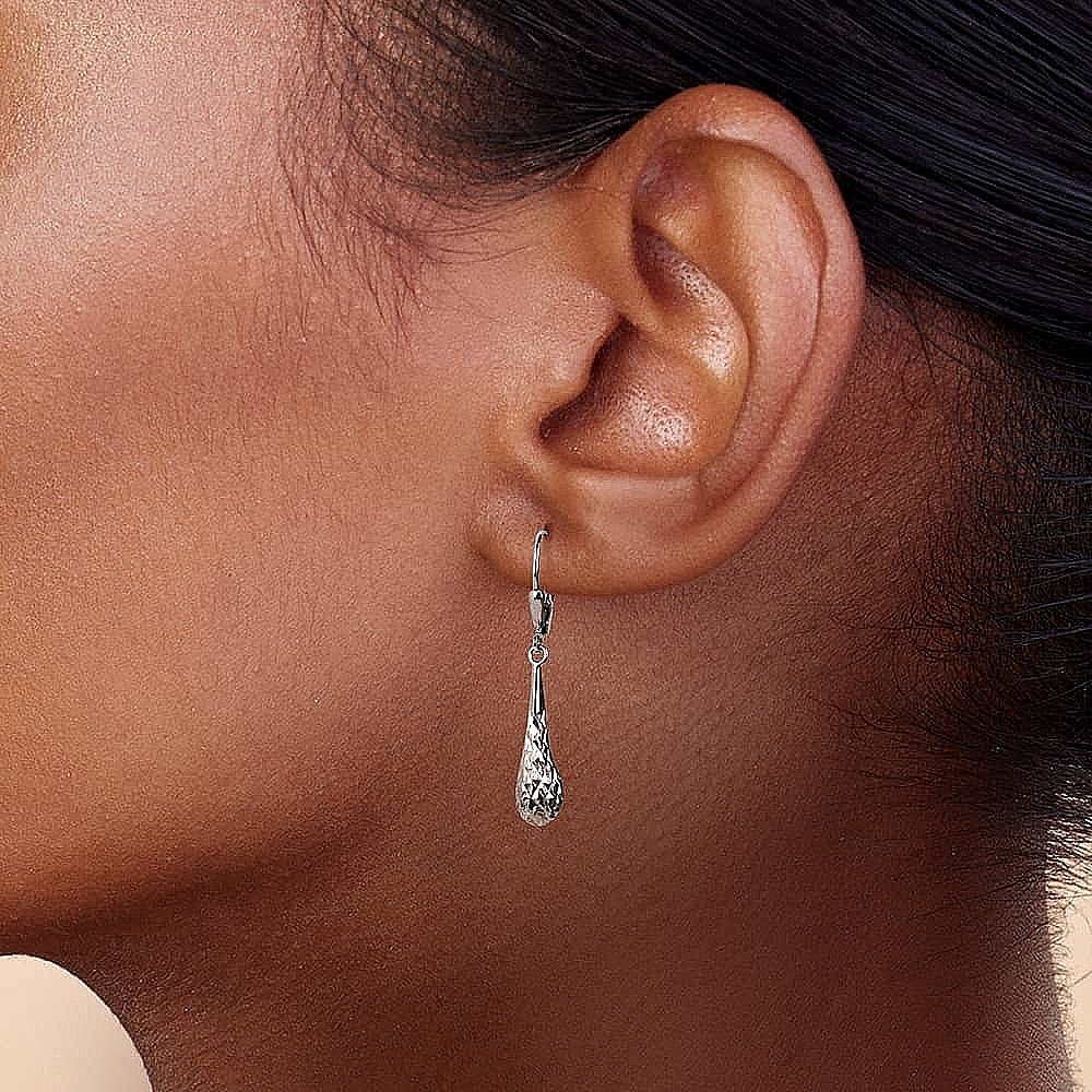Sparkle In Silver Earrings