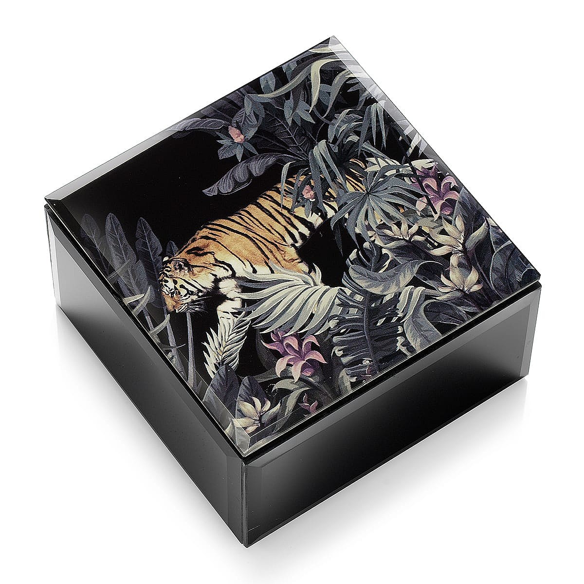Into the Wild Jewellery Box