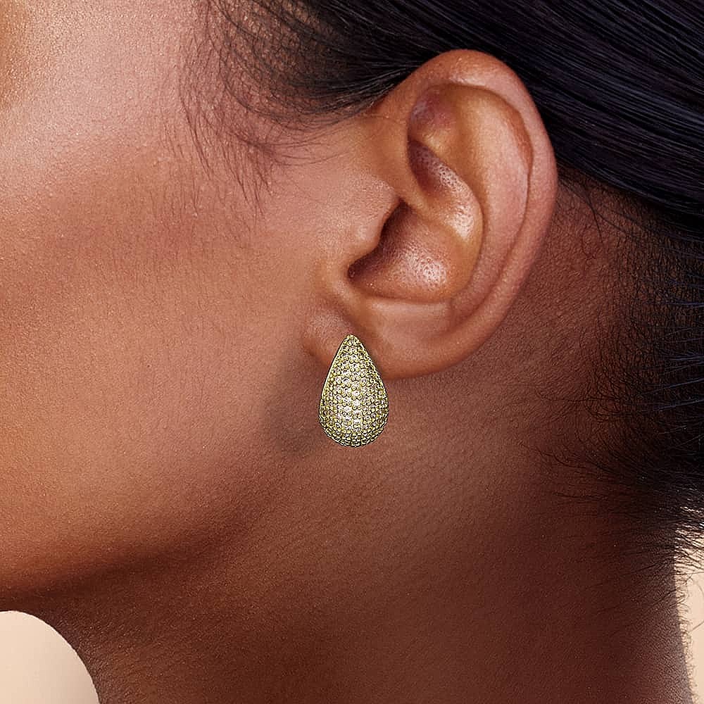 Dare to Dazzle Earrings