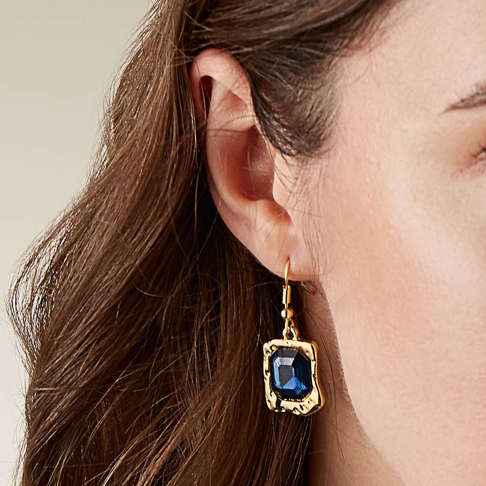 Colour Awakened Navy Earrings