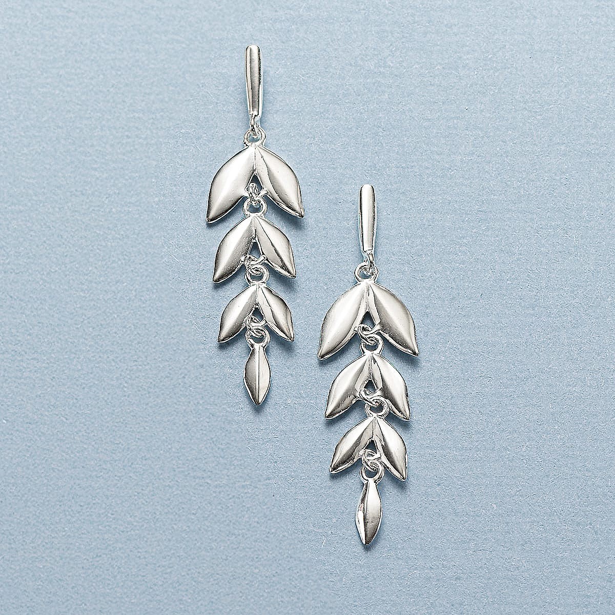 Nature's Song Silver Earrings