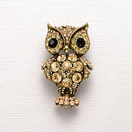 Owl In Good Time Brooch