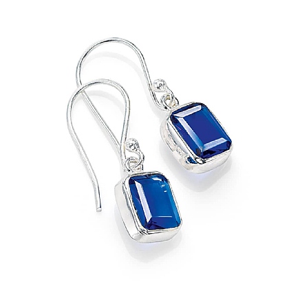 Bound in Blue Earrings