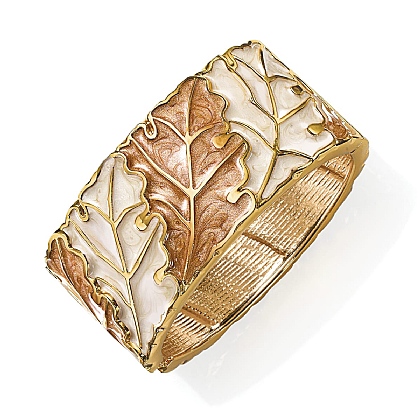 Nature's Way Brown Bangle