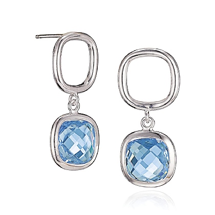 Framed in Light Silver Earrings